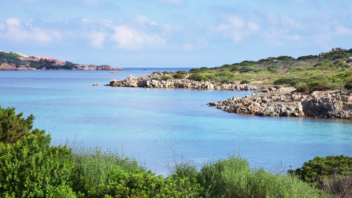 giardinelli maddalena