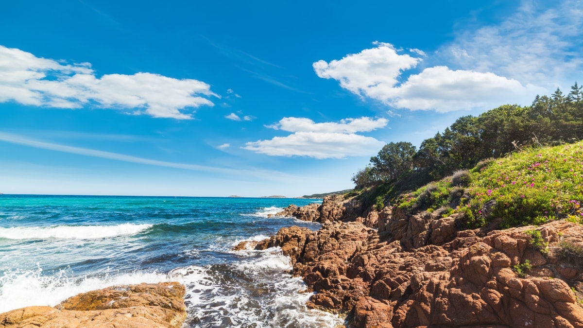 piccolo pevero spiaggia porto cervo