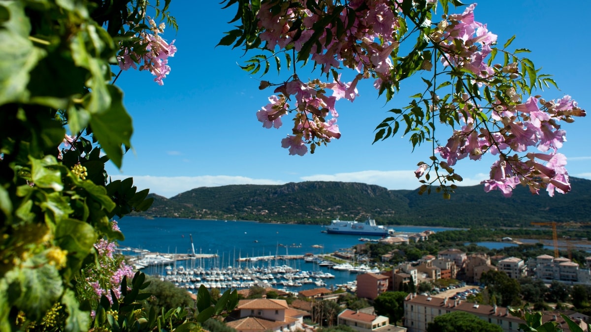 porto vecchio spiaggia corsica