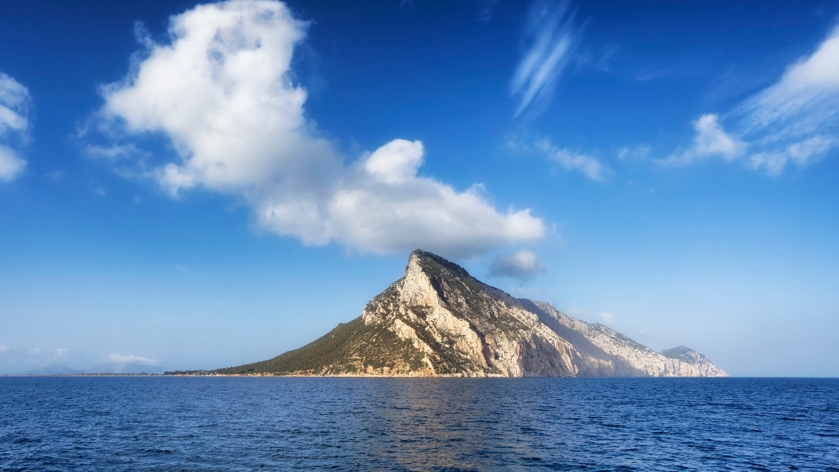 spalmatore di terra spiaggia tavolara sardegna